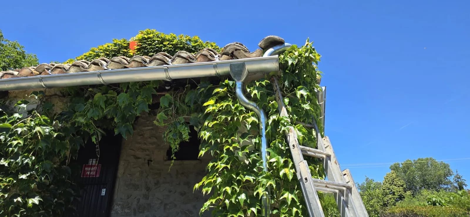 Naissance et descente de gouttière en zinc le long d'une façade